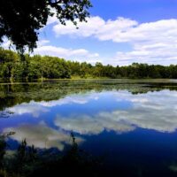 sologne-voyage-moto-Monsieur-Pingouin