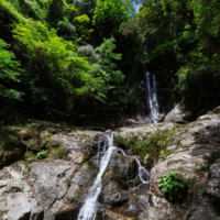 voyage-moto-monsieur-pingouin-japon-Minami